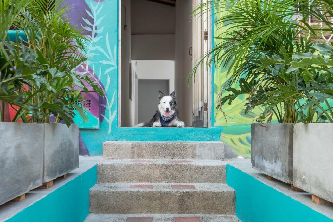 بيت شباب Gaston Coliving ميديلين المظهر الخارجي الصورة